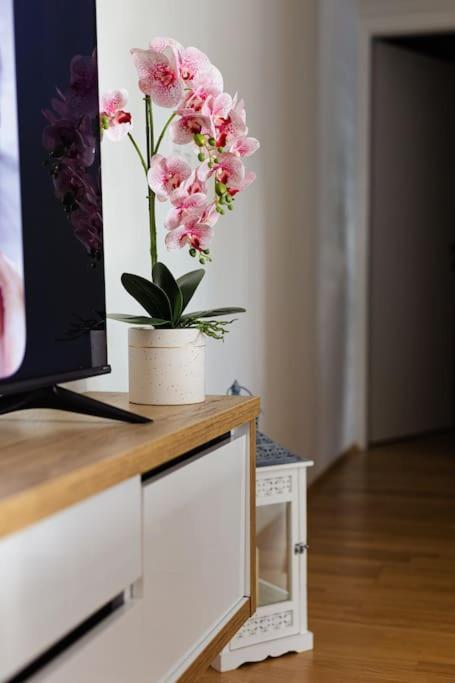 Apartman Lux Self Check-In فيروفيتيكا المظهر الخارجي الصورة